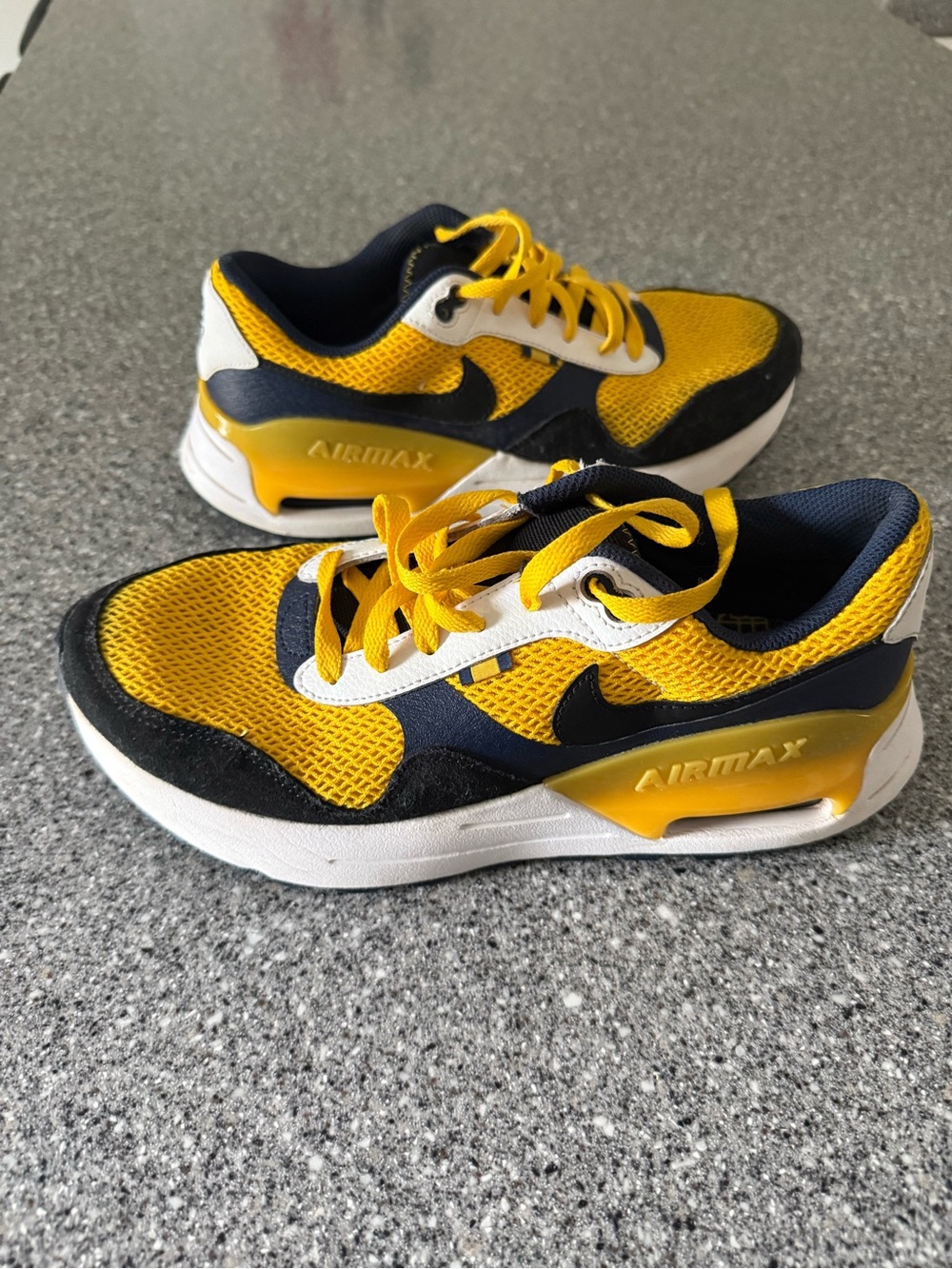Nike Michigan Air Max